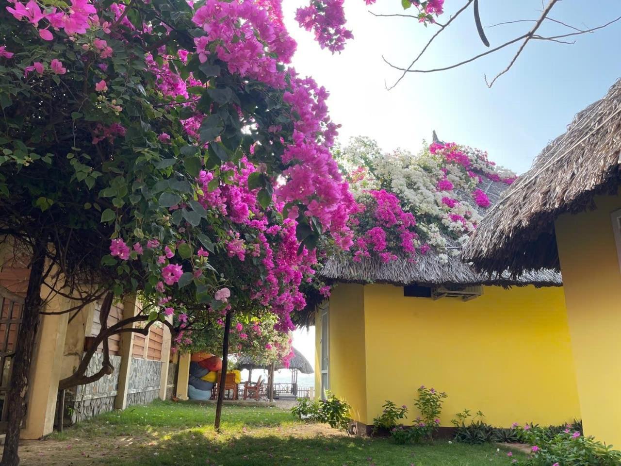 Orchid Boutique Beach Resort Фантхьет Экстерьер фото