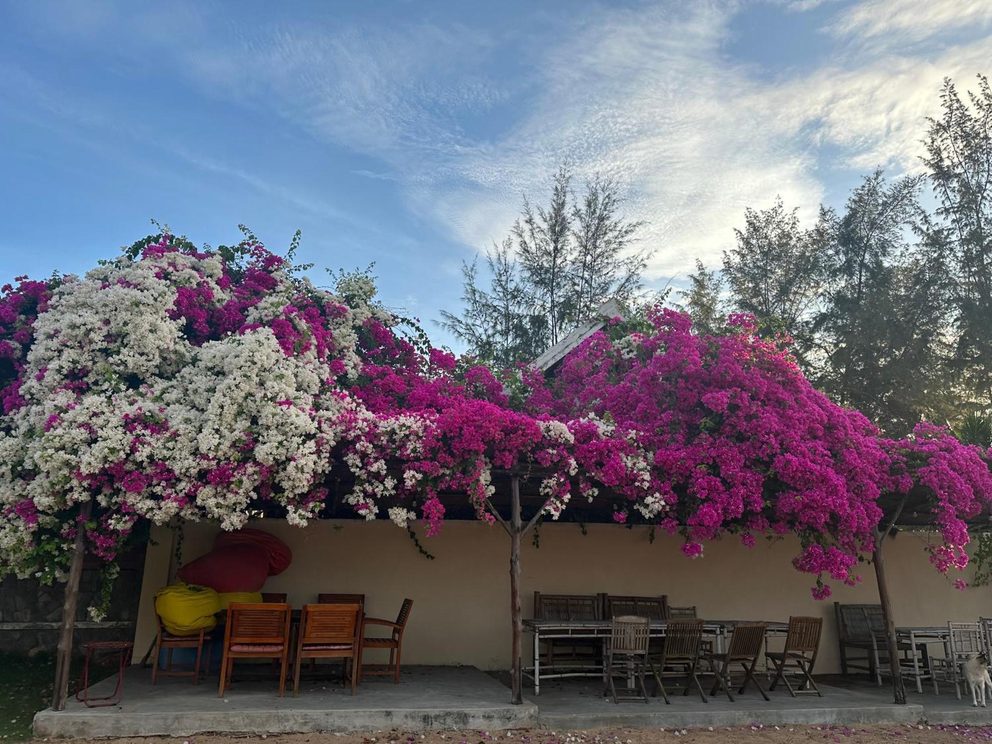Orchid Boutique Beach Resort Фантхьет Экстерьер фото