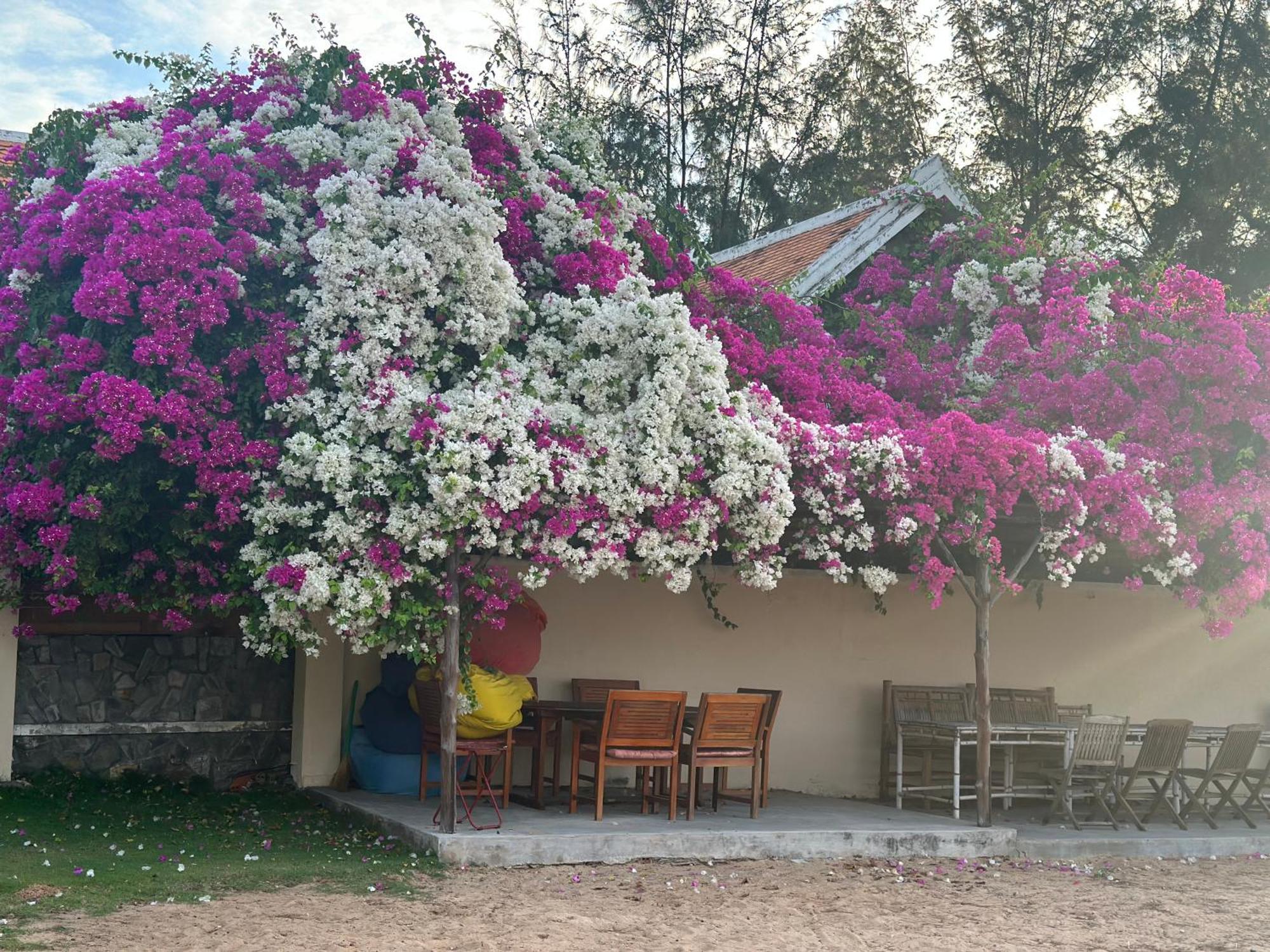 Orchid Boutique Beach Resort Фантхьет Экстерьер фото
